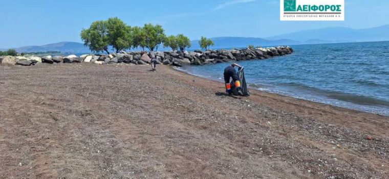Clean beaches